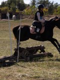 DSC04709 DSC04709