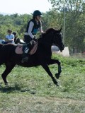 DSC_5964 DSC_5964