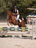 DSC04378 DSC04378