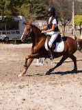 DSC04379 DSC04379