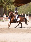 DSC04383 DSC04383