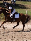 DSC04385 DSC04385