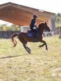 DSC05283 DSC05283