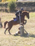 DSC05286 DSC05286