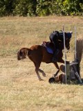 DSC05289 DSC05289
