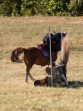 DSC05290 DSC05290