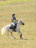 DSC06393 DSC06393