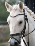 DSC_5024 DSC_5024