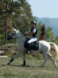 DSC_5729 DSC_5729