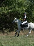 DSC_5731 DSC_5731