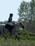 DSC_5735 DSC_5735