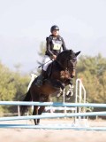 DSC03564 DSC03564