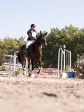 DSC03565 DSC03565