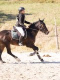 DSC03567 DSC03567