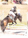 DSC03568 DSC03568