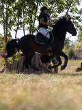 DSC04871 DSC04871