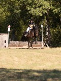 DSC04875 DSC04875