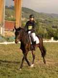 DSC05919 DSC05919