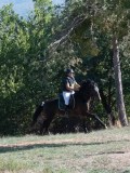 DSC_6024 DSC_6024