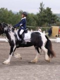 DSC02300 DSC02300