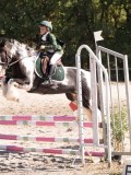 DSC03595 DSC03595