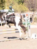 DSC03596 DSC03596