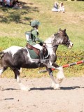 DSC03600 DSC03600