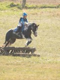 DSC06744 DSC06744