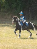 DSC06748 DSC06748