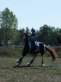 DSC_6030 DSC_6030
