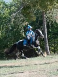 DSC_6033 DSC_6033