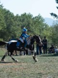DSC_6035 DSC_6035