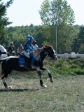 DSC_6036 DSC_6036