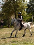 DSC06310 DSC06310
