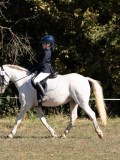 DSC05060