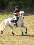 DSC06365 DSC06365