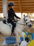 DSC07505 DSC07505