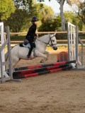 DSC07514 DSC07514
