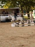 DSC07517 DSC07517