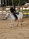DSC07518 DSC07518