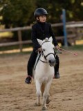 DSC07519 DSC07519