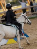 DSC07520 DSC07520
