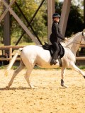 DSC08580 DSC08580
