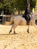 DSC08138 DSC08138