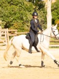 DSC08139 DSC08139