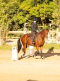DSC07557 DSC07557
