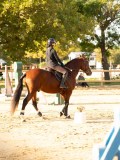 DSC07558 DSC07558