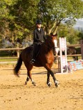 DSC07563 DSC07563