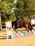 DSC07566 DSC07566