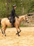 DSC09480 DSC09480